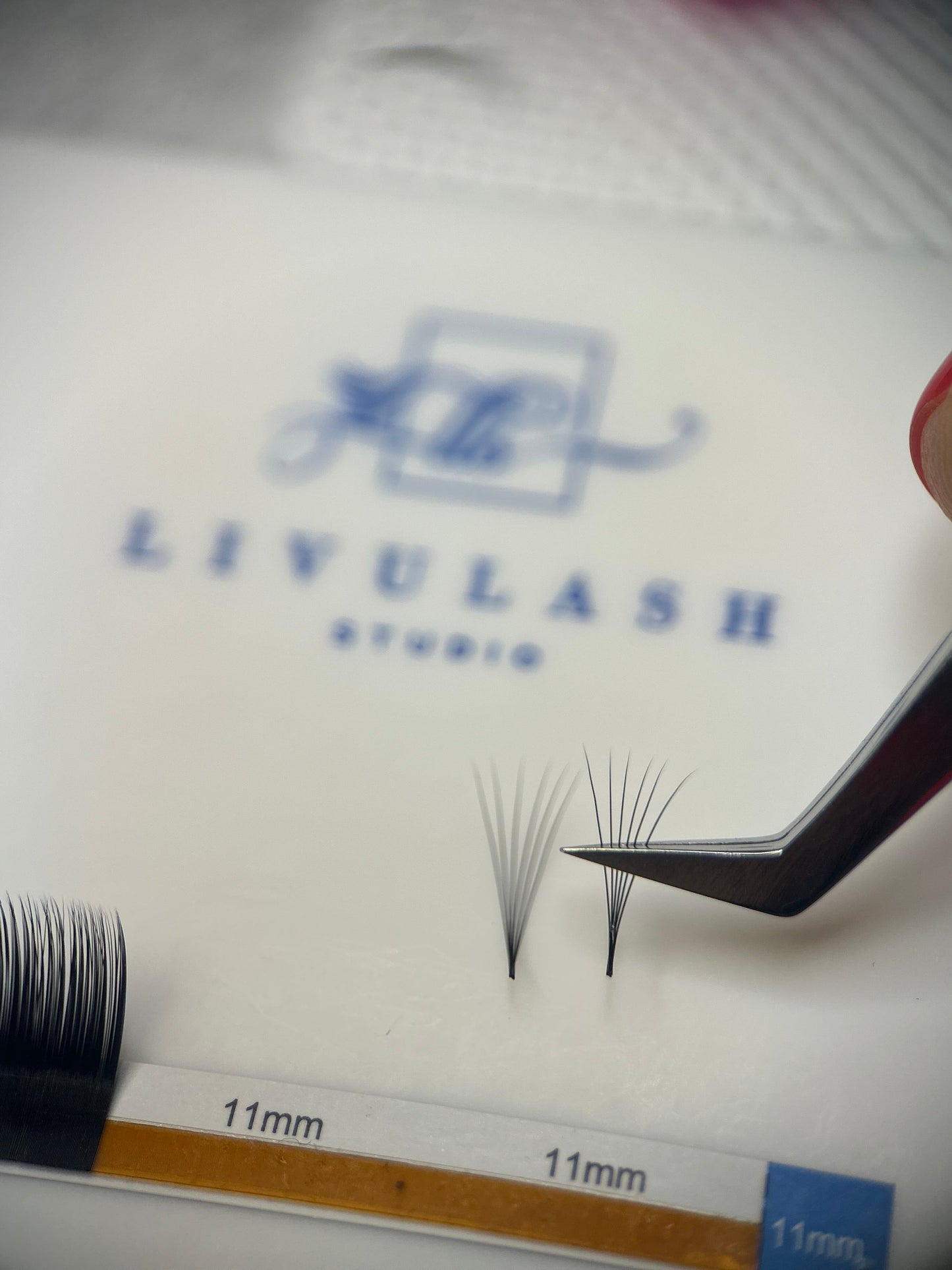 VOLUME Lash Box - MIXED Lengths .05mm